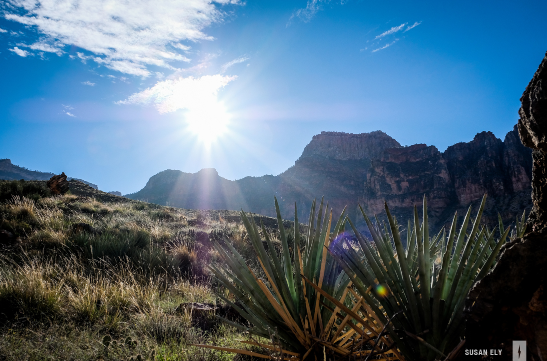 Grand Canyon National Park by Susan Ely